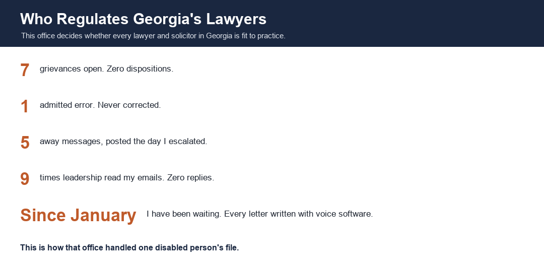 Who regulates Georgia's lawyers: the numbers from one disabled person's file.